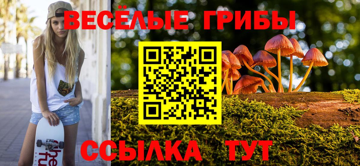 Галлюциногенные грибы мицелий  Галлюциногенные грибы мицелий  Отрадный  Вход с VPN 