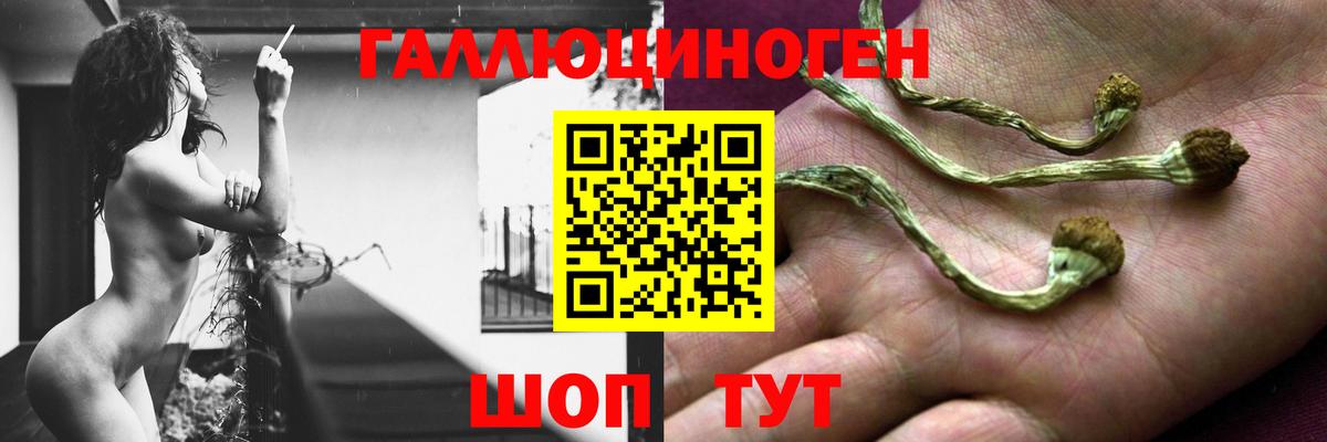 Псилоцибиновые грибы мухоморы Отрадный